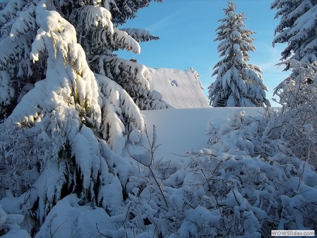 Unser Zwinger steckt noch im Winterschlaf...