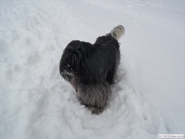 Viel Schnee zum toben.