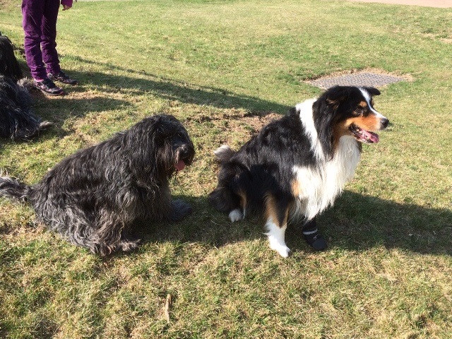 Gassirunde mit Balduin