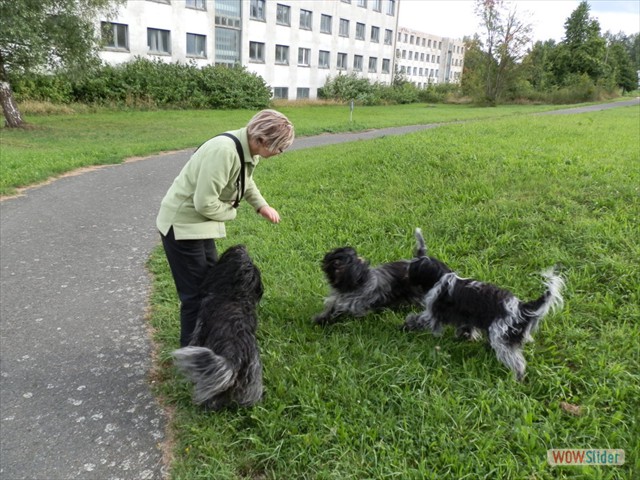 Djuna und Baafje bei uns zu Besuch