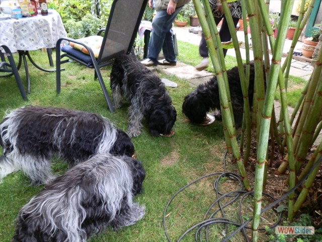 Djuna und Baafje bei uns zu Besuch